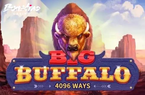 Big Buffalo Skywind Group