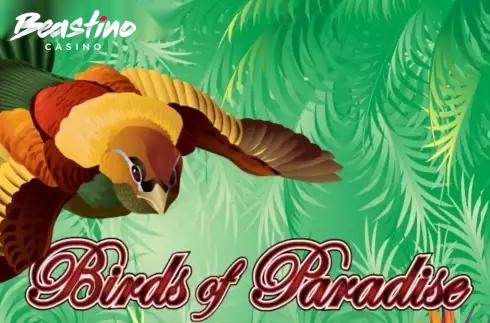 Birds Of Paradise Wager Gaming