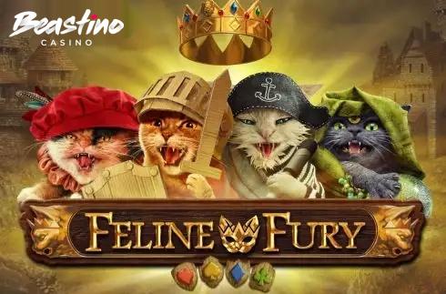 Feline Fury