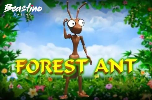 Forest Ant