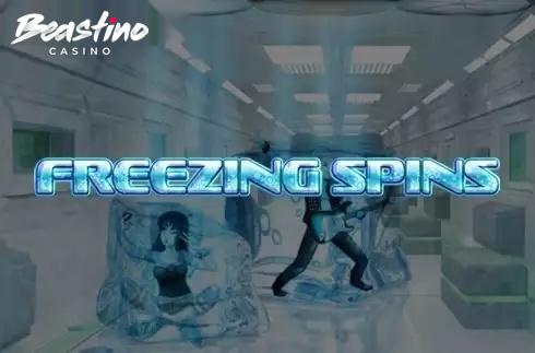 Freezing Spins