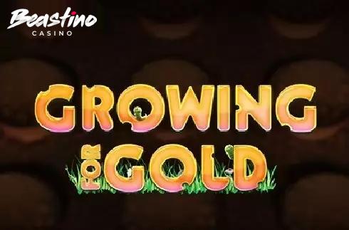 Growing for Gold