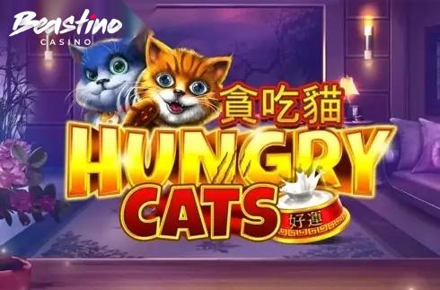 Hungry Cats