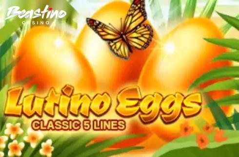 Lutino Eggs