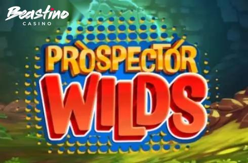 Prospector Wilds