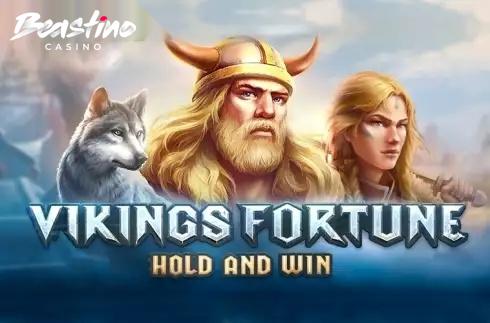 Vikings Fortune Hold and Win