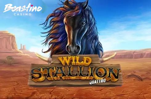 Wild Stallion