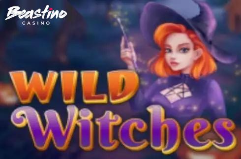 Wild Witches Amatic Industries