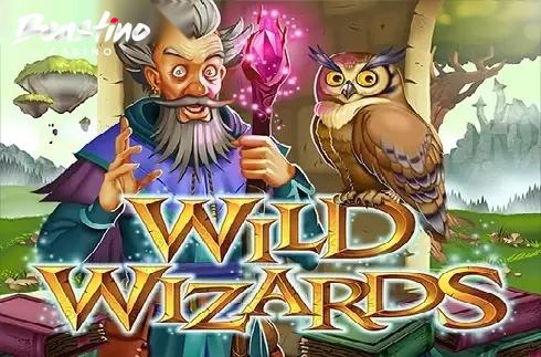 Wild Wizards RTG