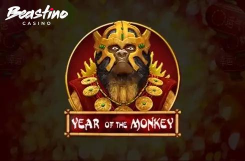 Year of the monkey Spinomenal